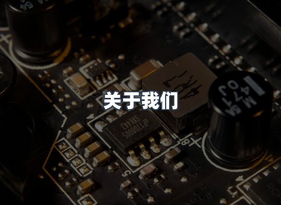 专业团队